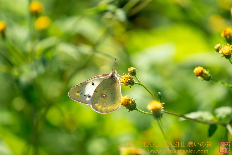 ../Images/7R241013 (216).jpg